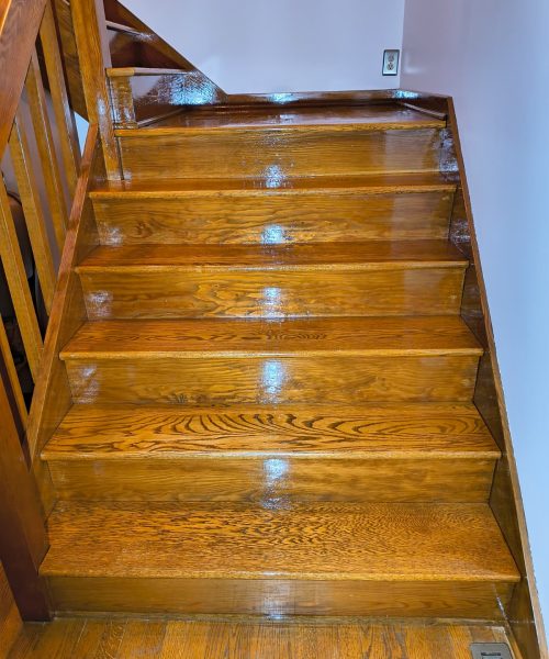 WhatsApp Image 2026-03-04 at 1.33.31 PM3